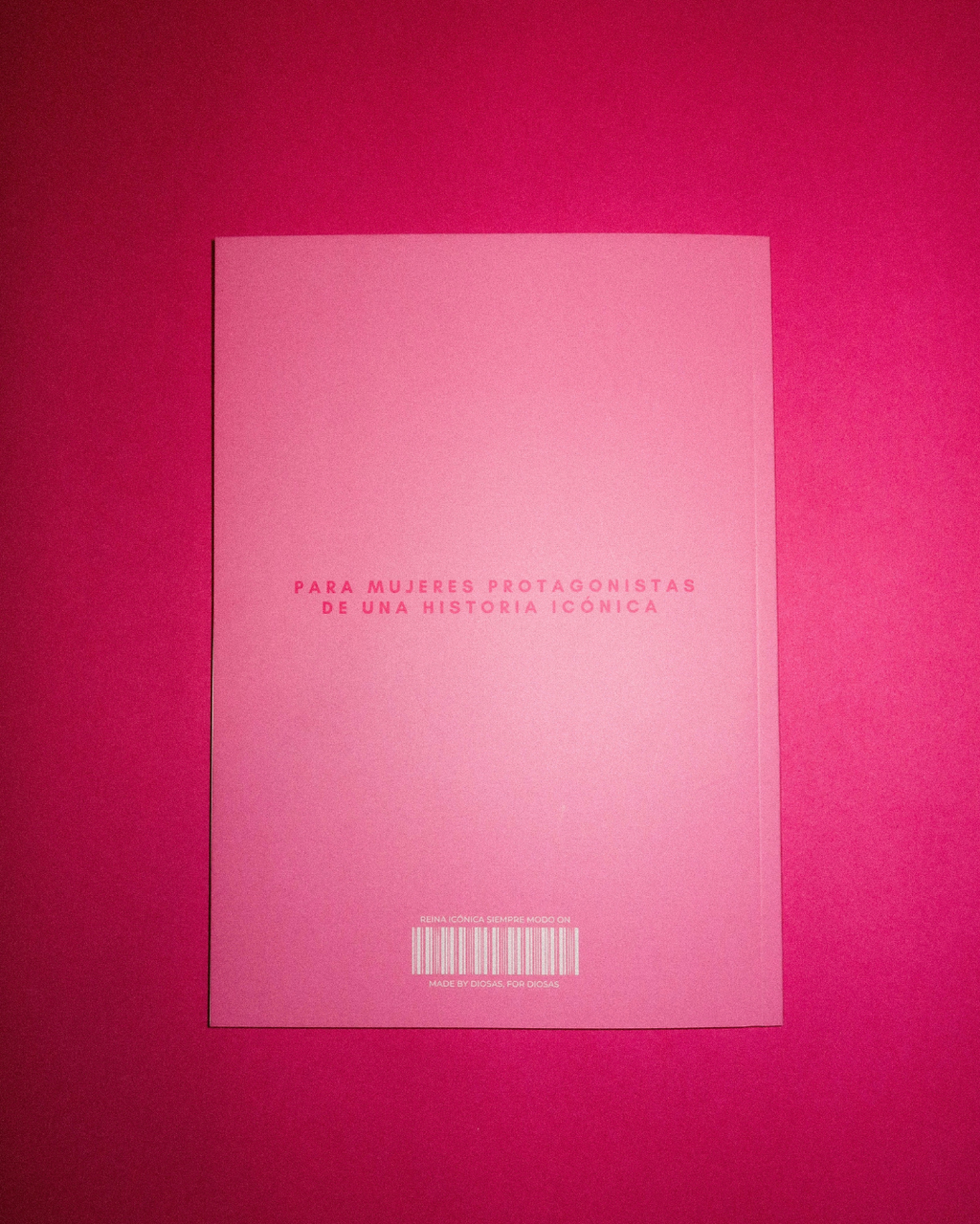 PLANNER DIARIO DE ENTRENAMIENTO