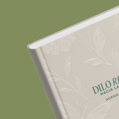 AGENDA 2026: DILO REINA, HACIA LA CIMA